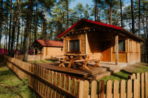 Wypoczywanko Domek 43, 45